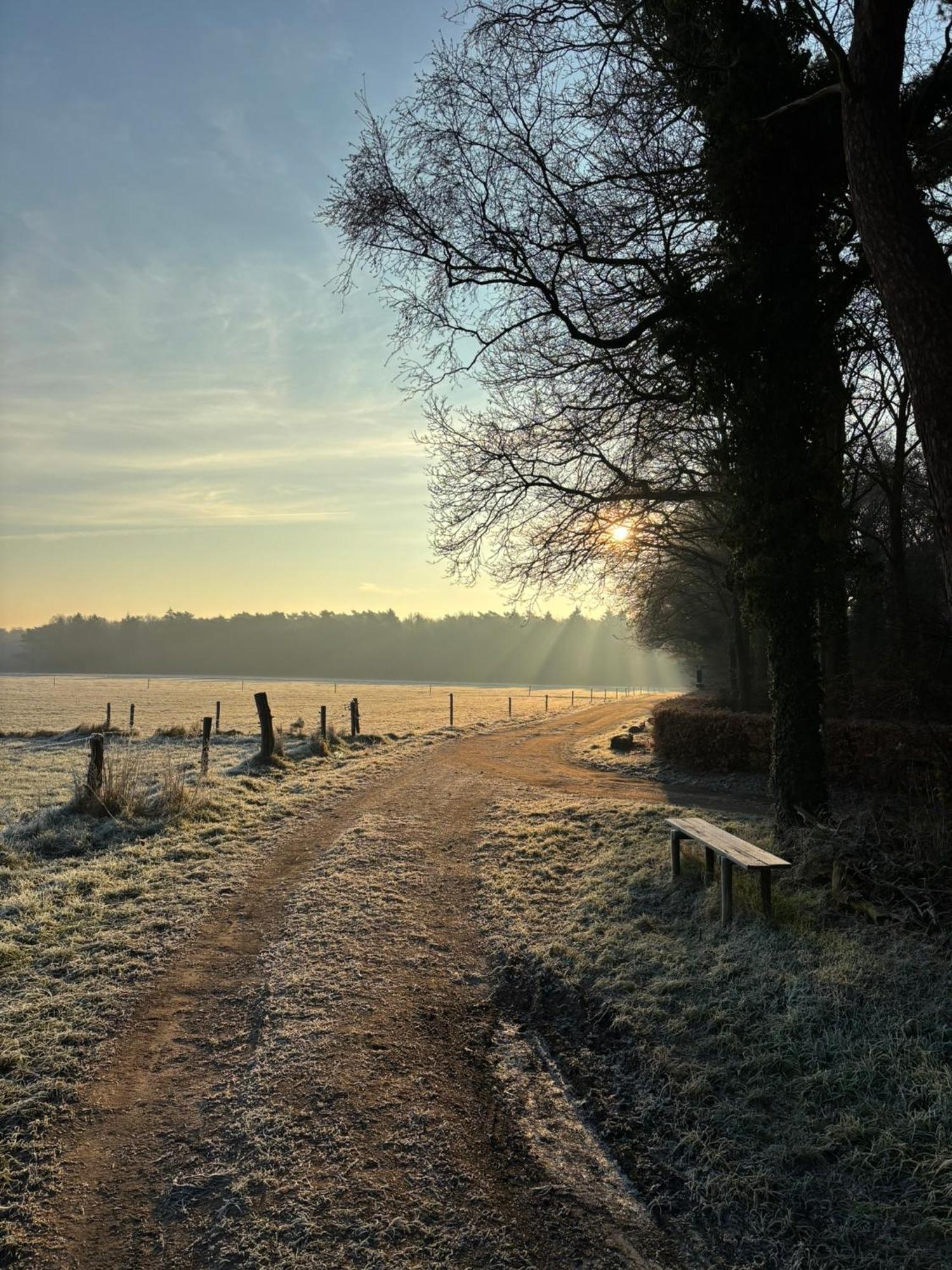 'T Holten Huus - Puur Genieten In Het Bos. Norg Exterior photo