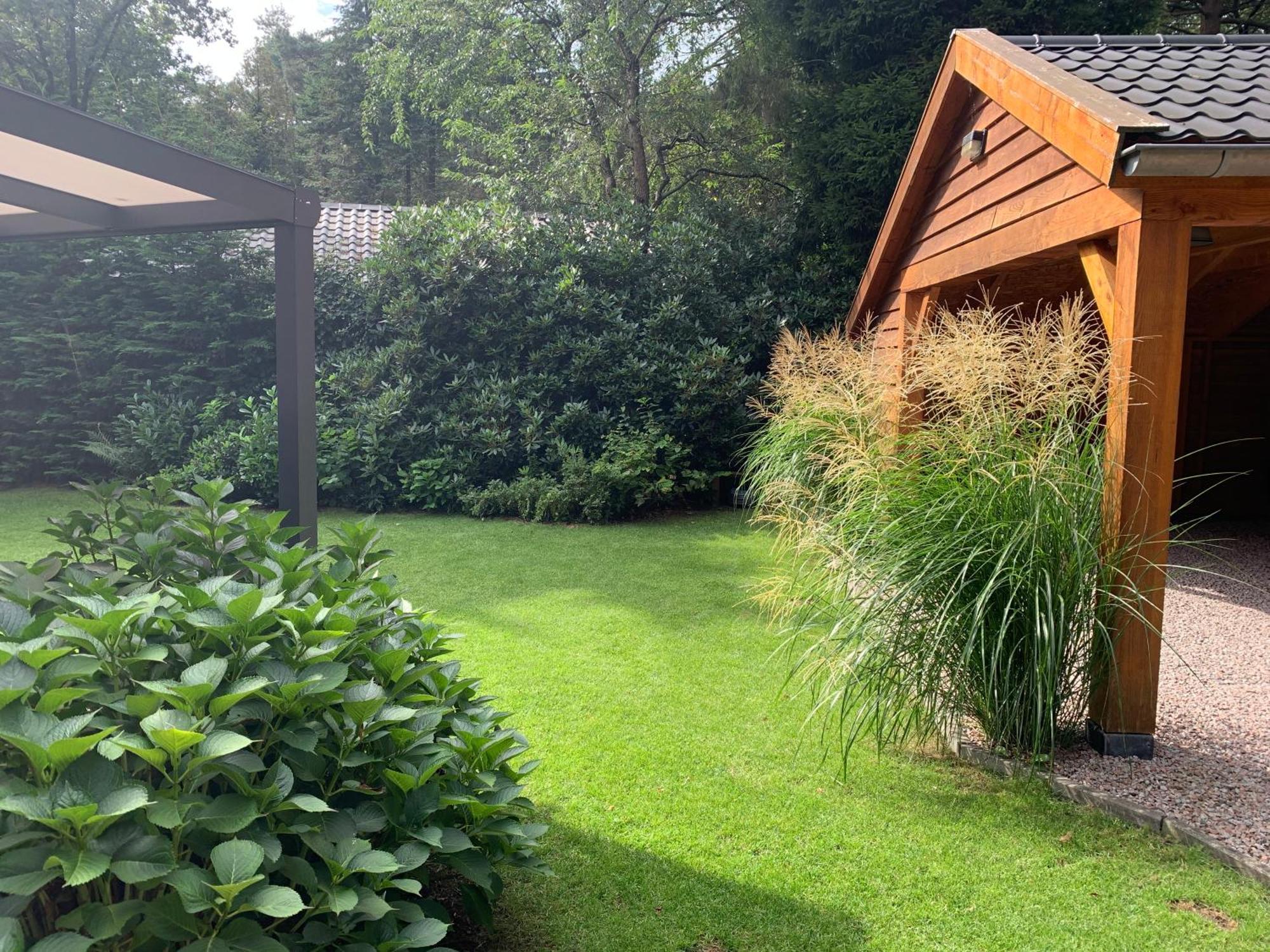 'T Holten Huus - Puur Genieten In Het Bos. Norg Exterior photo