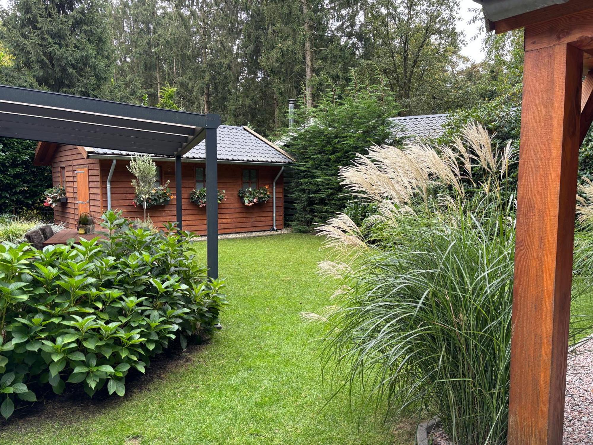 'T Holten Huus - Puur Genieten In Het Bos. Norg Exterior photo